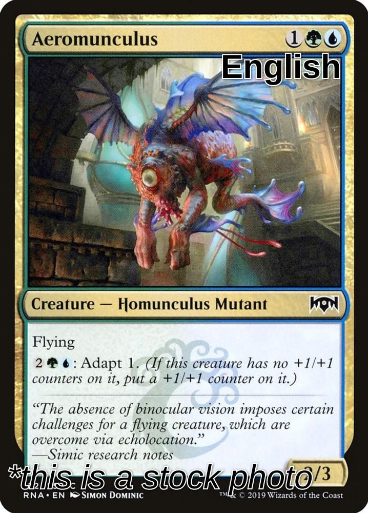Aeromunculus