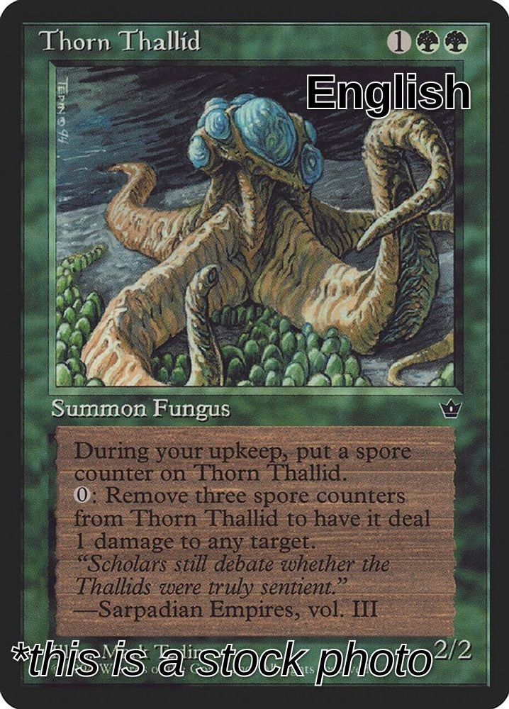 Thorn Thallid (Tedin)