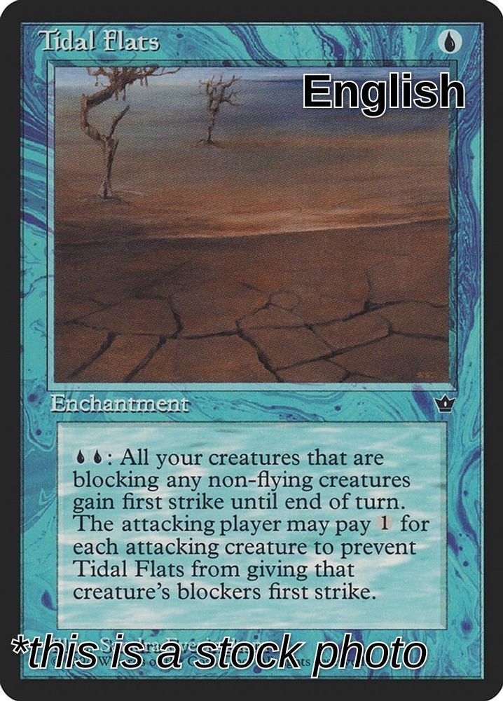 Tidal Flats (Everingham)