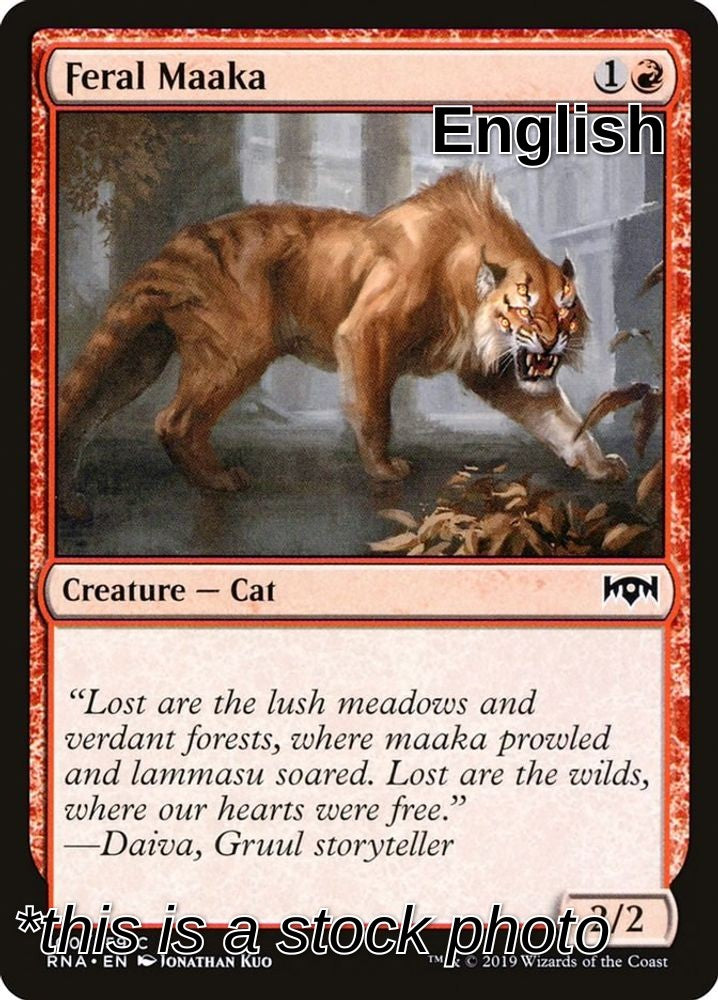 Feral Maaka