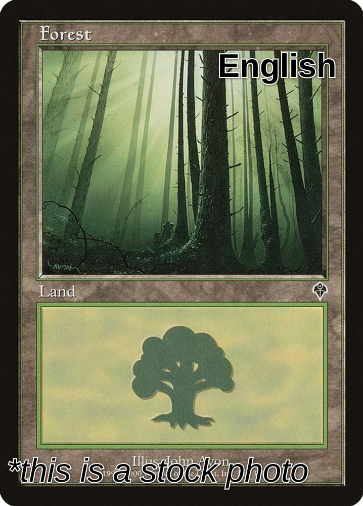Forest (347)