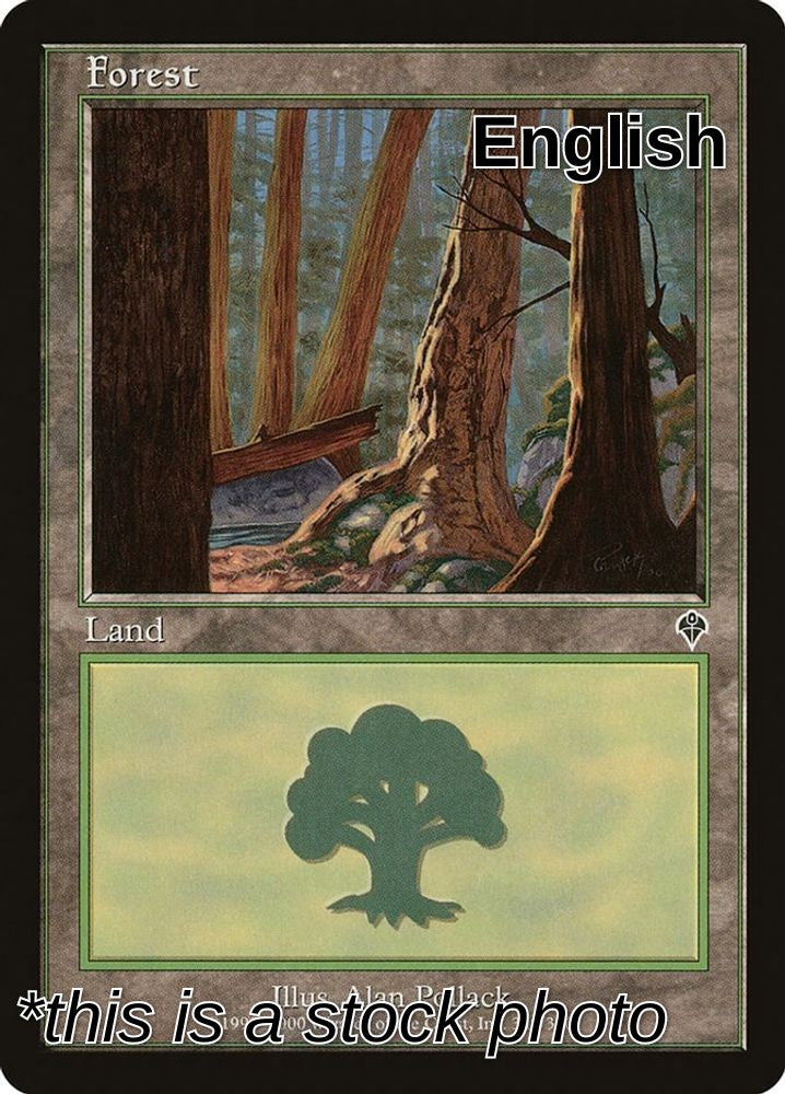 Forest (348)