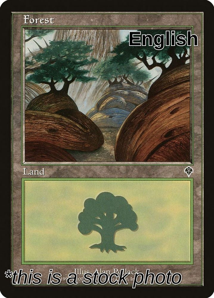 Forest (349)
