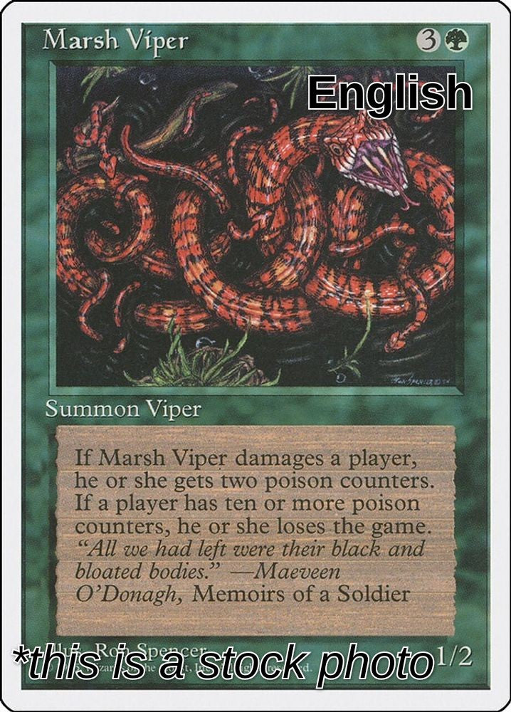 Marsh Viper