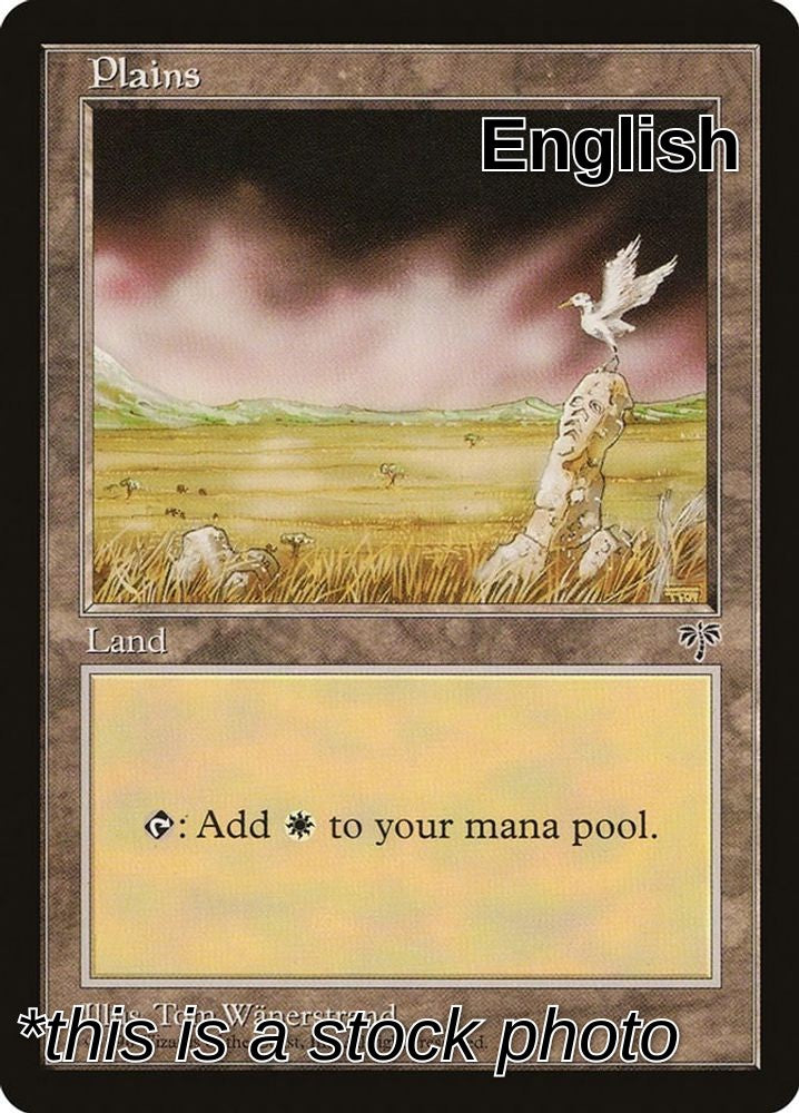 Plains (Bird)
