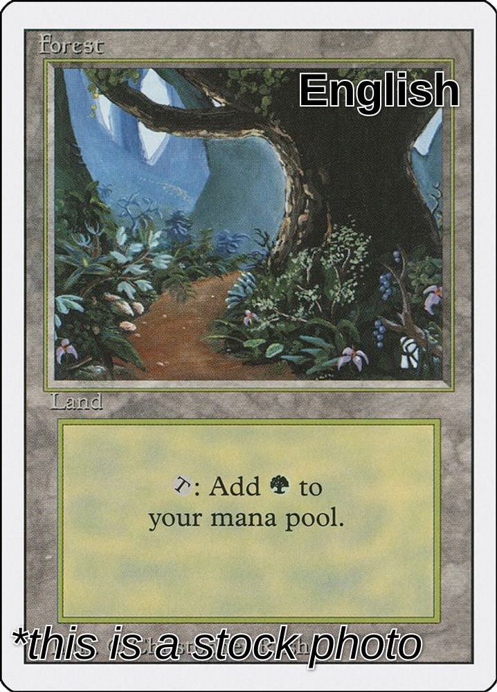 Forest (B)