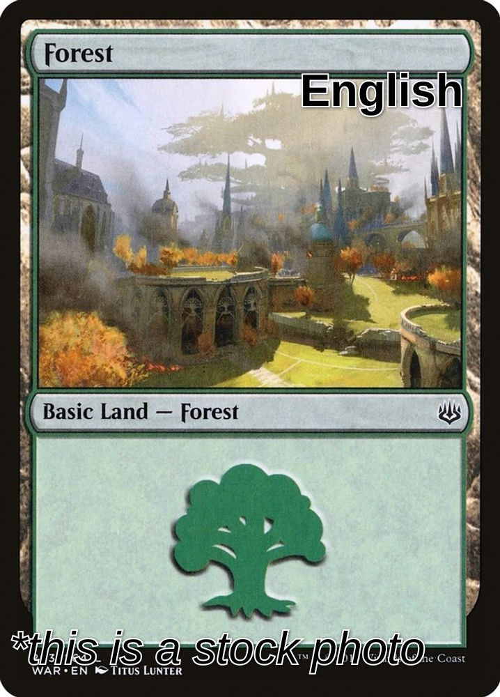 Forest (263)