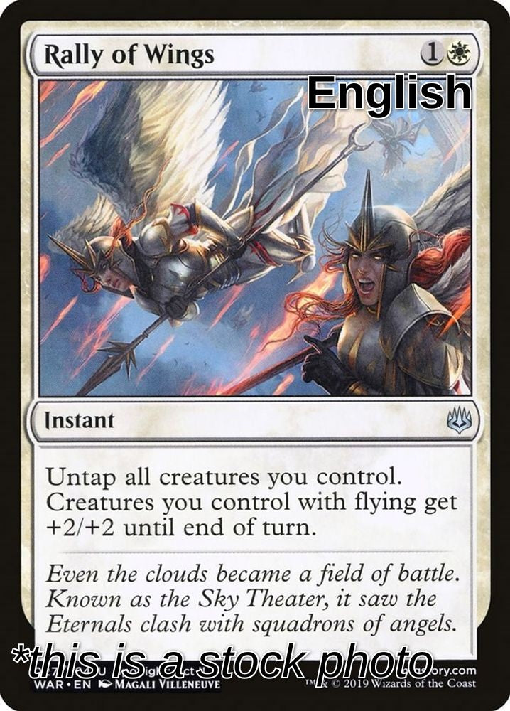 Rally of Wings