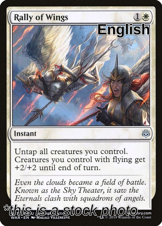 Rally of Wings