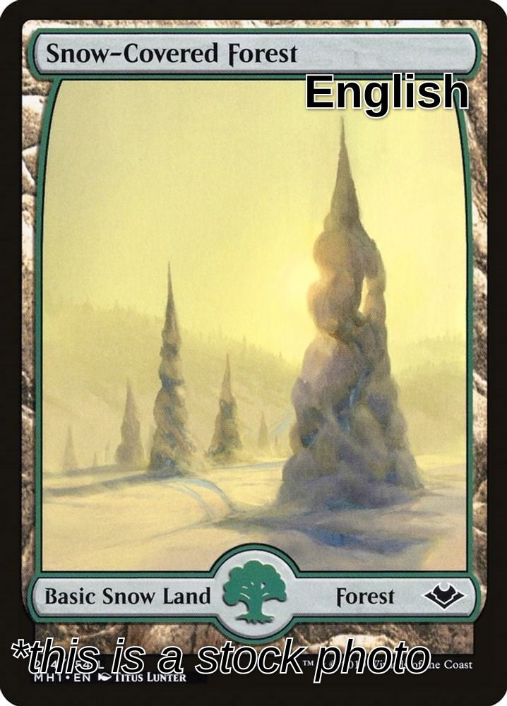 Snow-Covered Forest