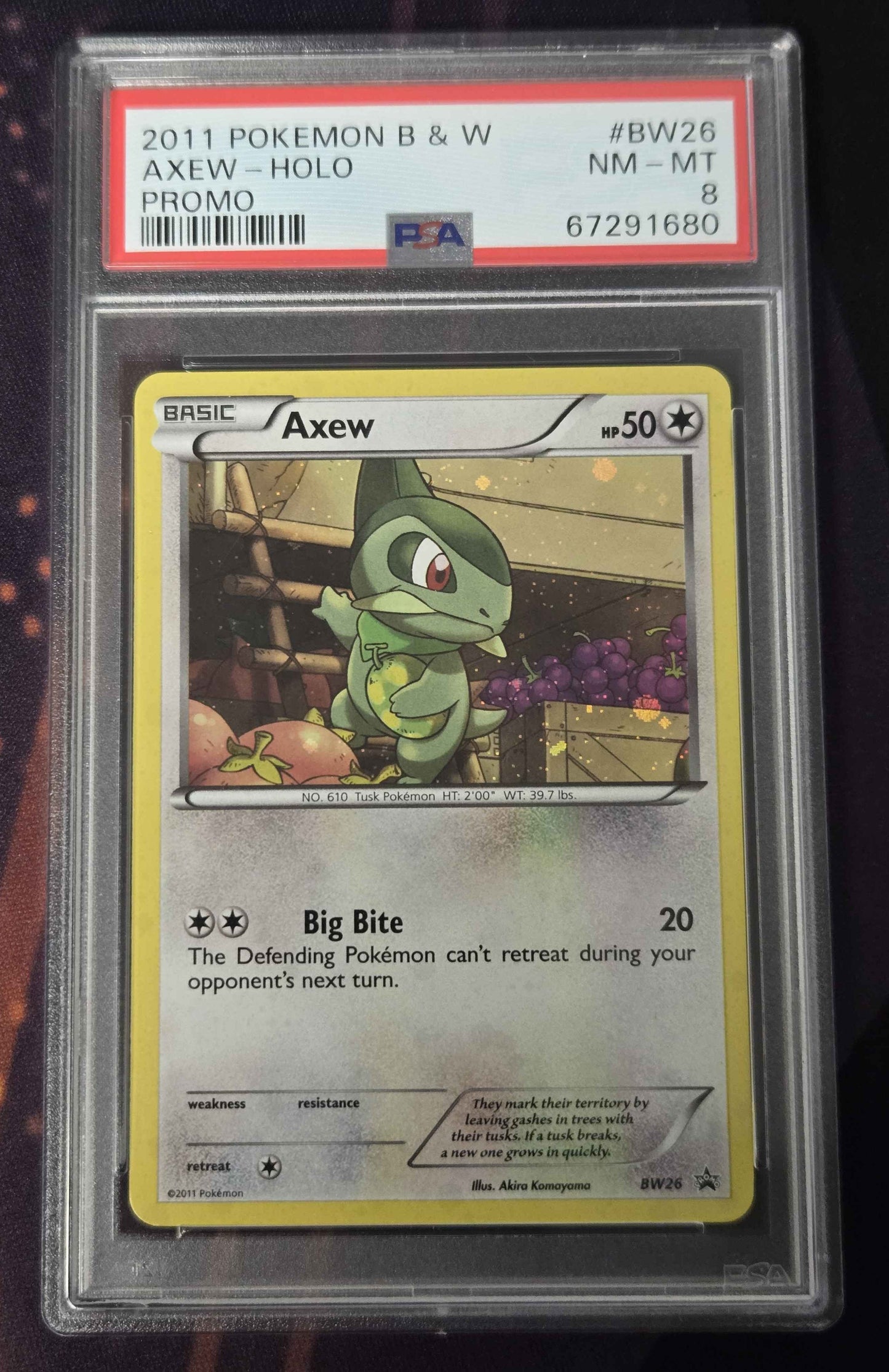 Pokemon Axew # BW26 Holo B&W Promo - PSA 8
