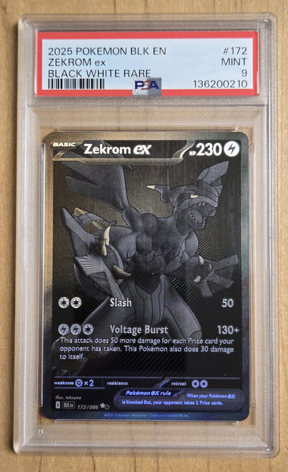 Pokemon Zekrom ex # 172 - Black & White - Graded PSA 9