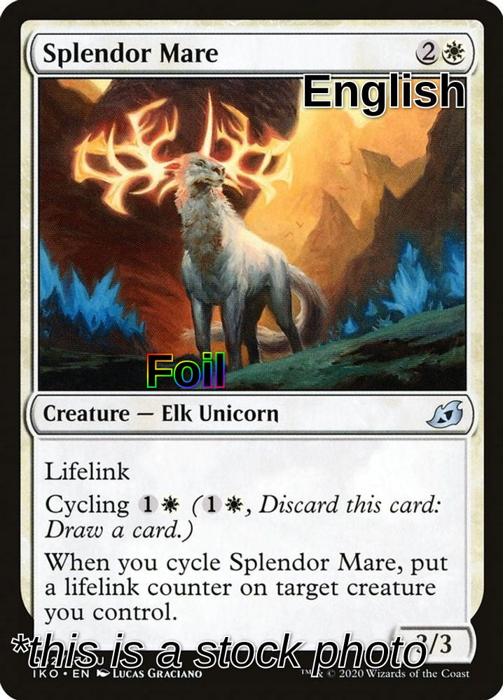 Splendor Mare