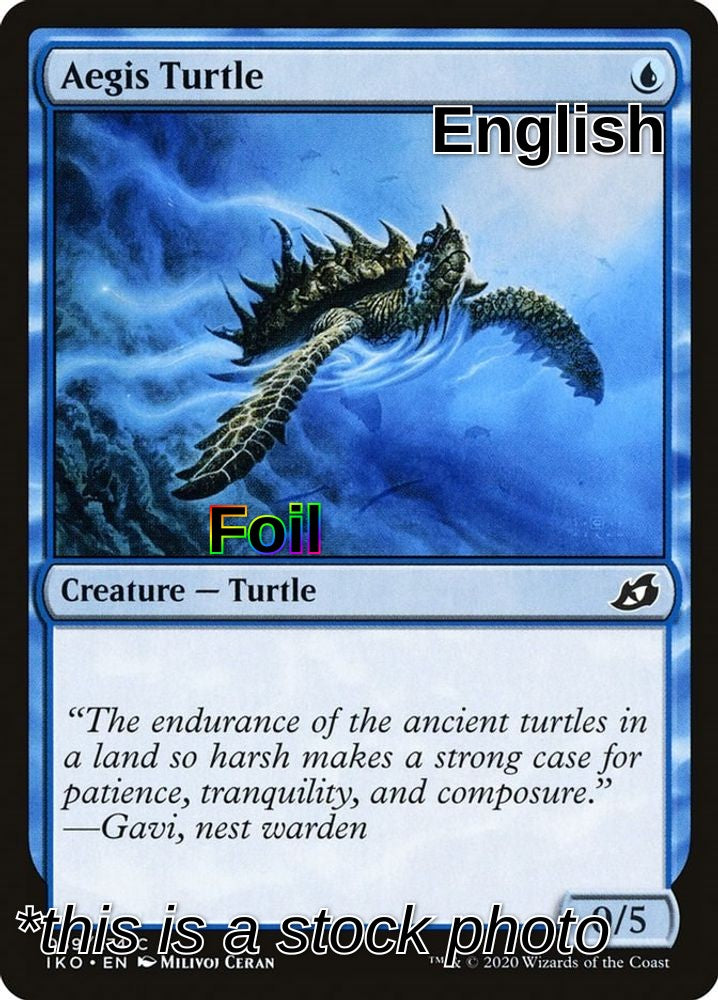 Aegis Turtle