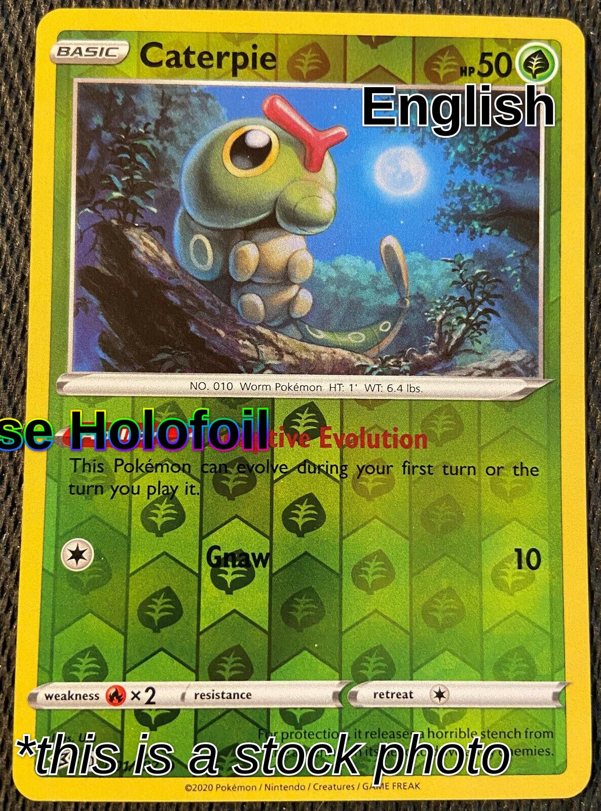 Caterpie