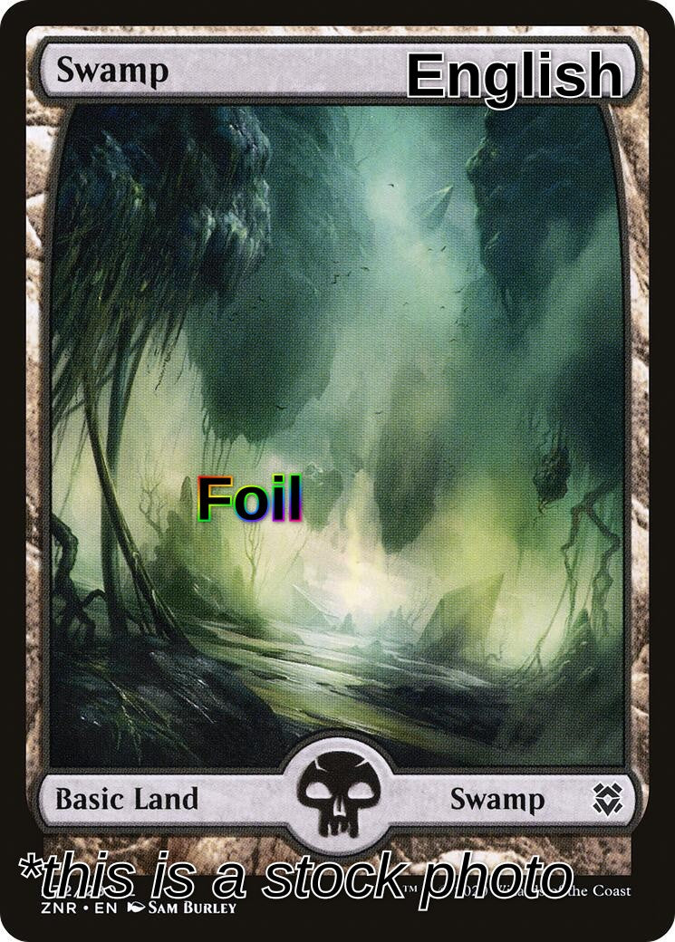 Swamp (272) - Full Art