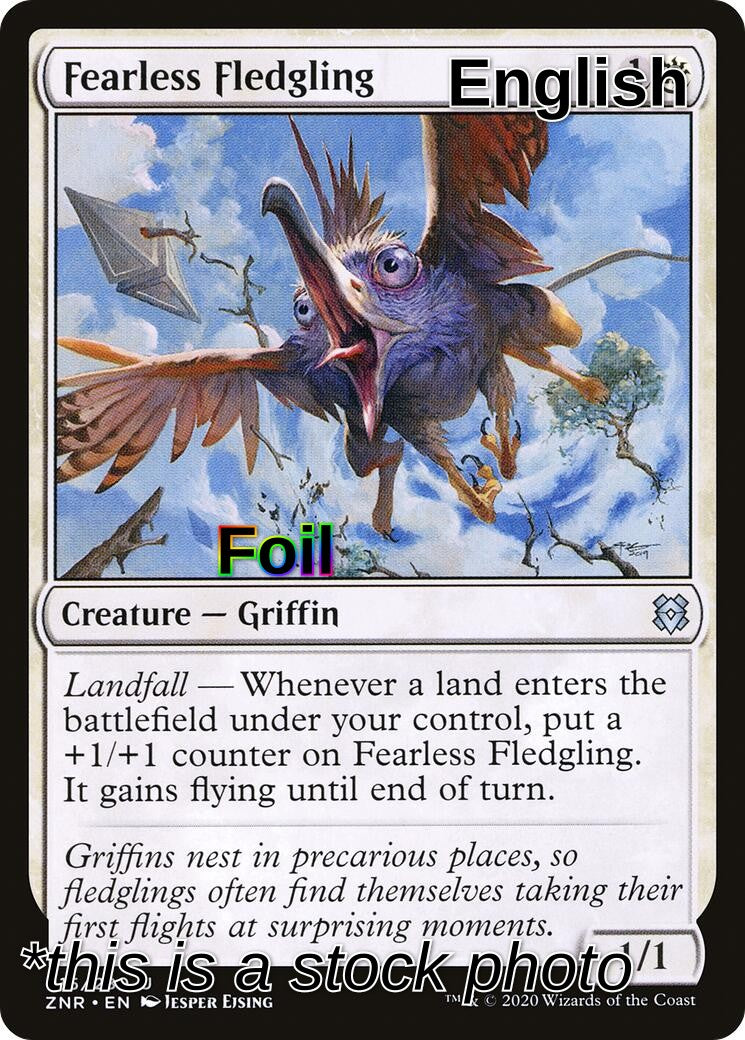 Fearless Fledgling