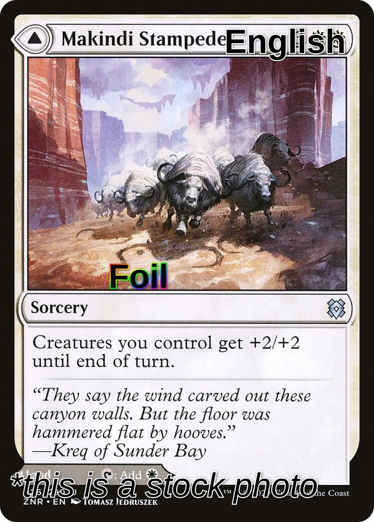 Makindi Stampede