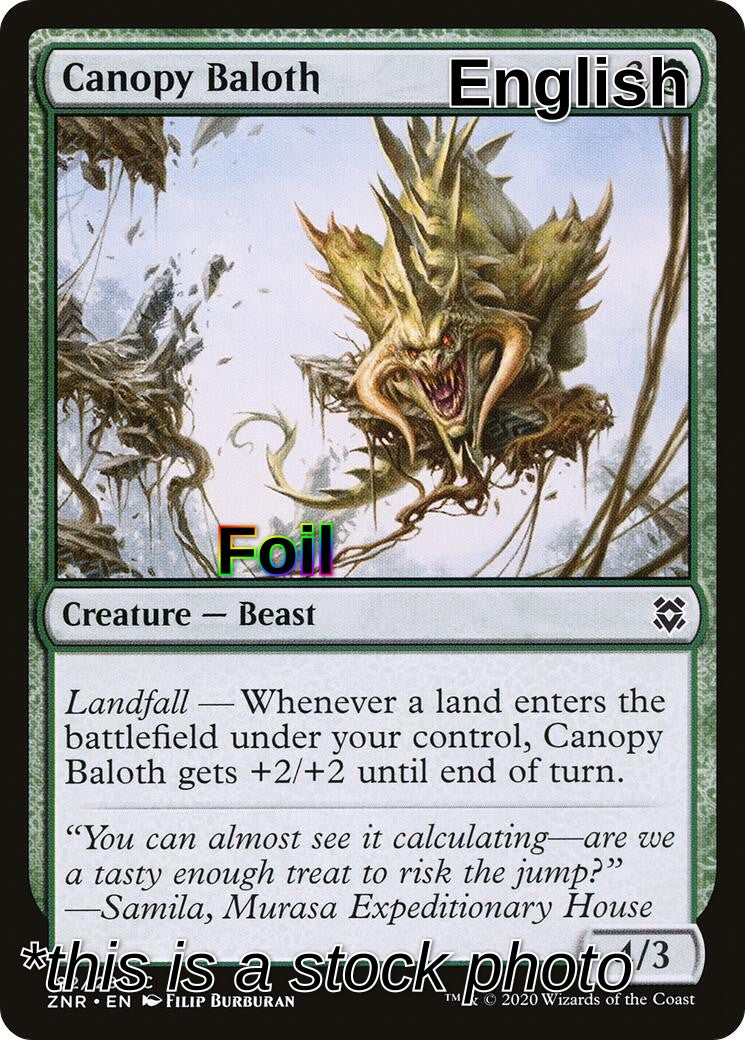 Canopy Baloth