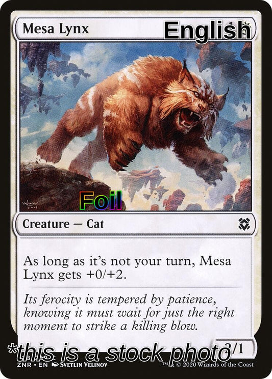 Mesa Lynx
