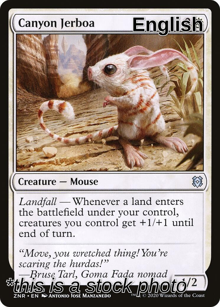 Canyon Jerboa