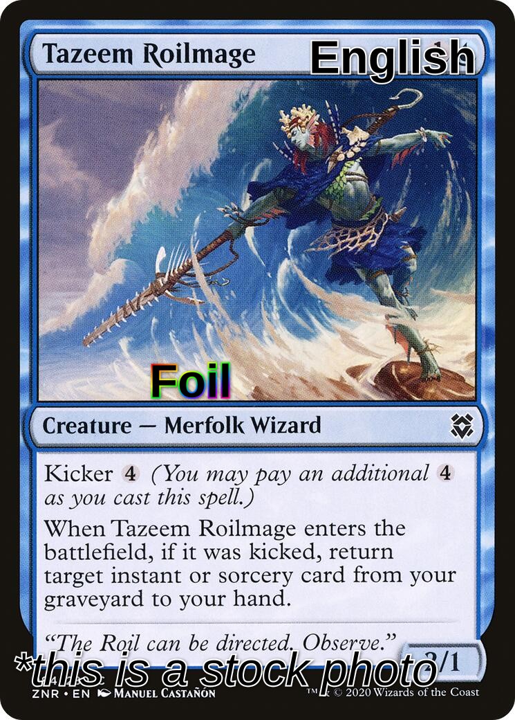 Tazeem Roilmage