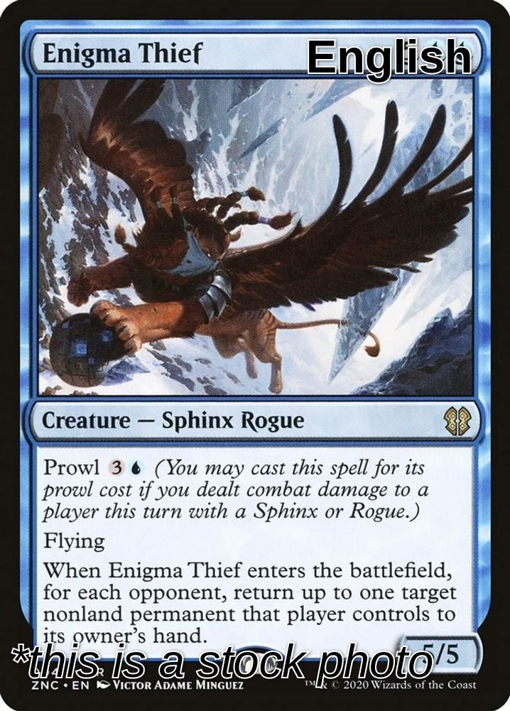 Enigma Thief