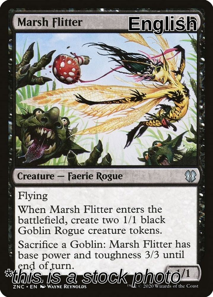 Marsh Flitter