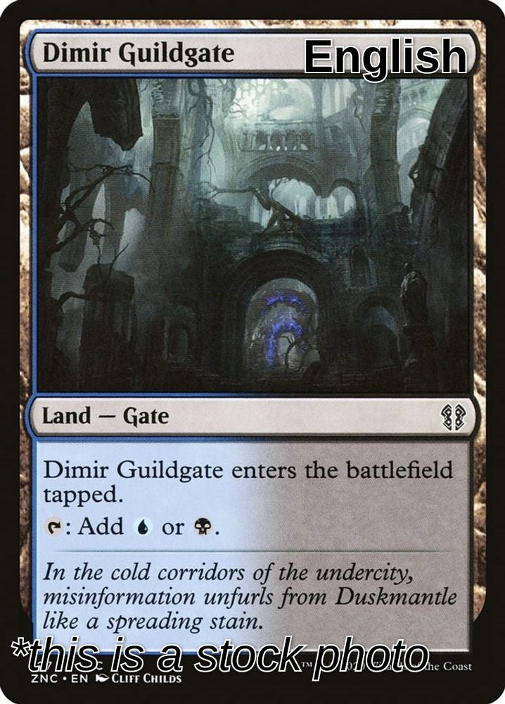 Dimir Guildgate