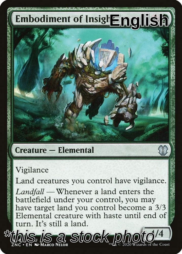 Embodiment of Insight