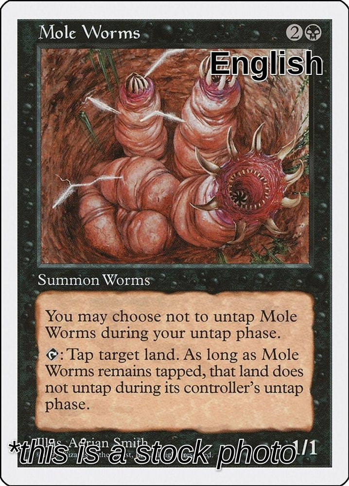 Mole Worms