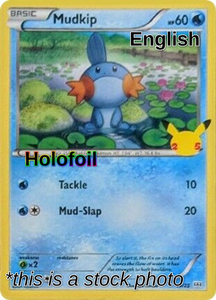 Mudkip - 19/25