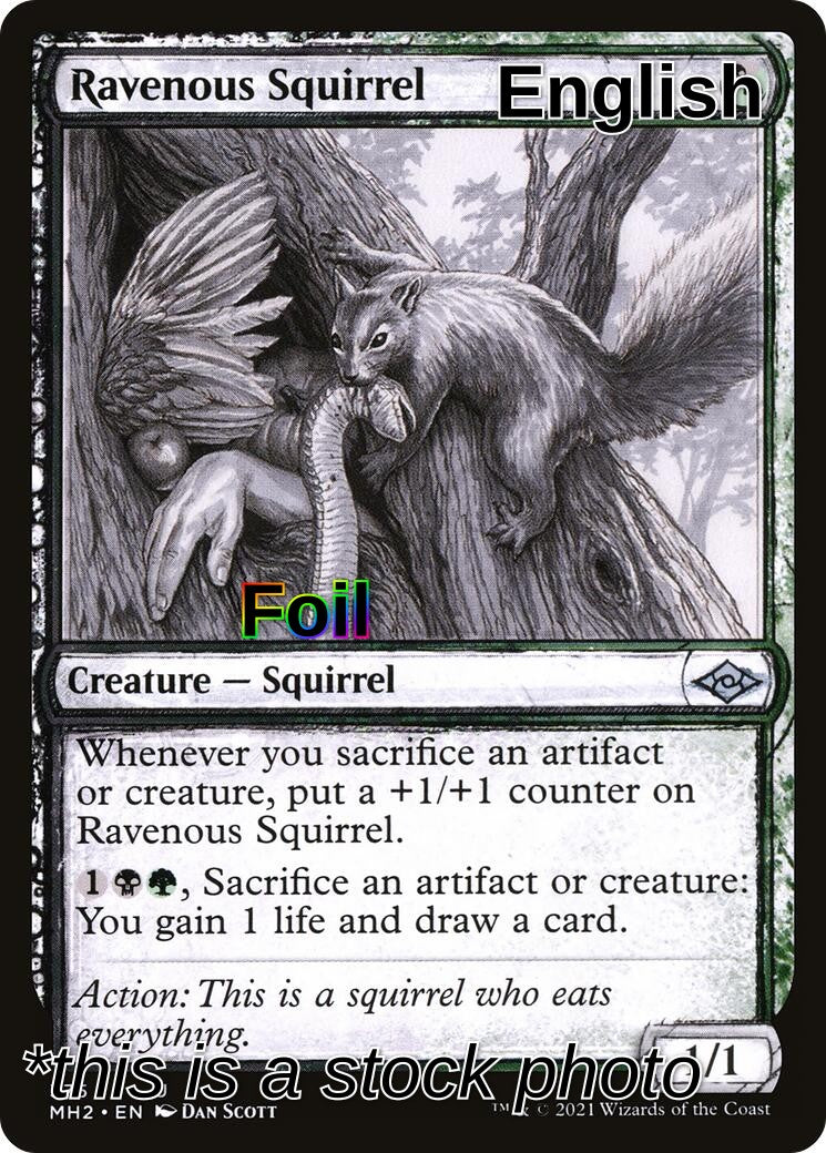 Ravenous Squirrel (Showcase)