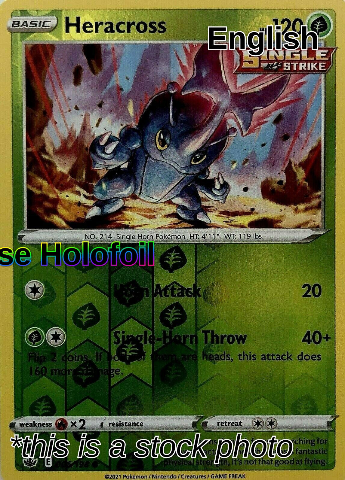 Heracross