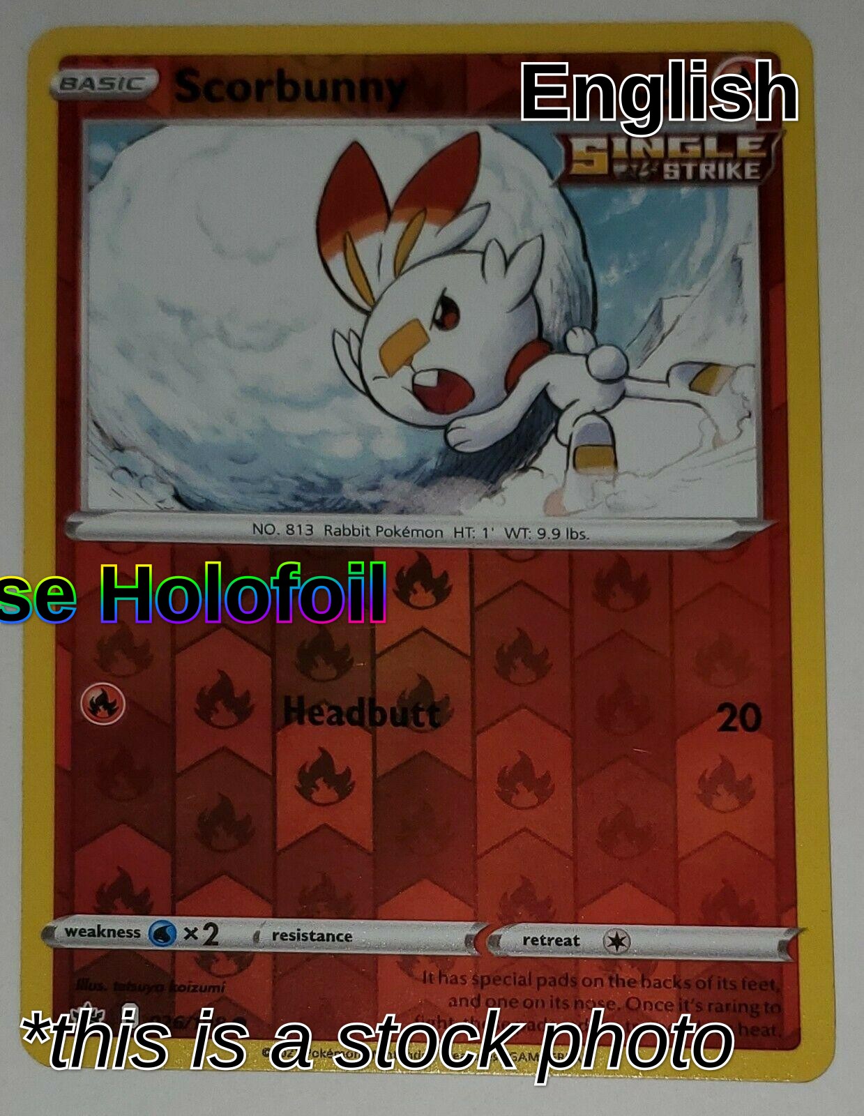Scorbunny