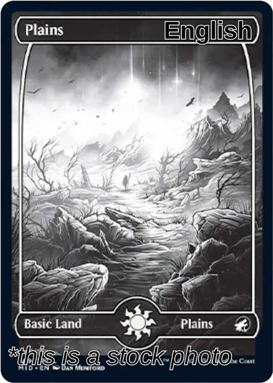 Plains (269)