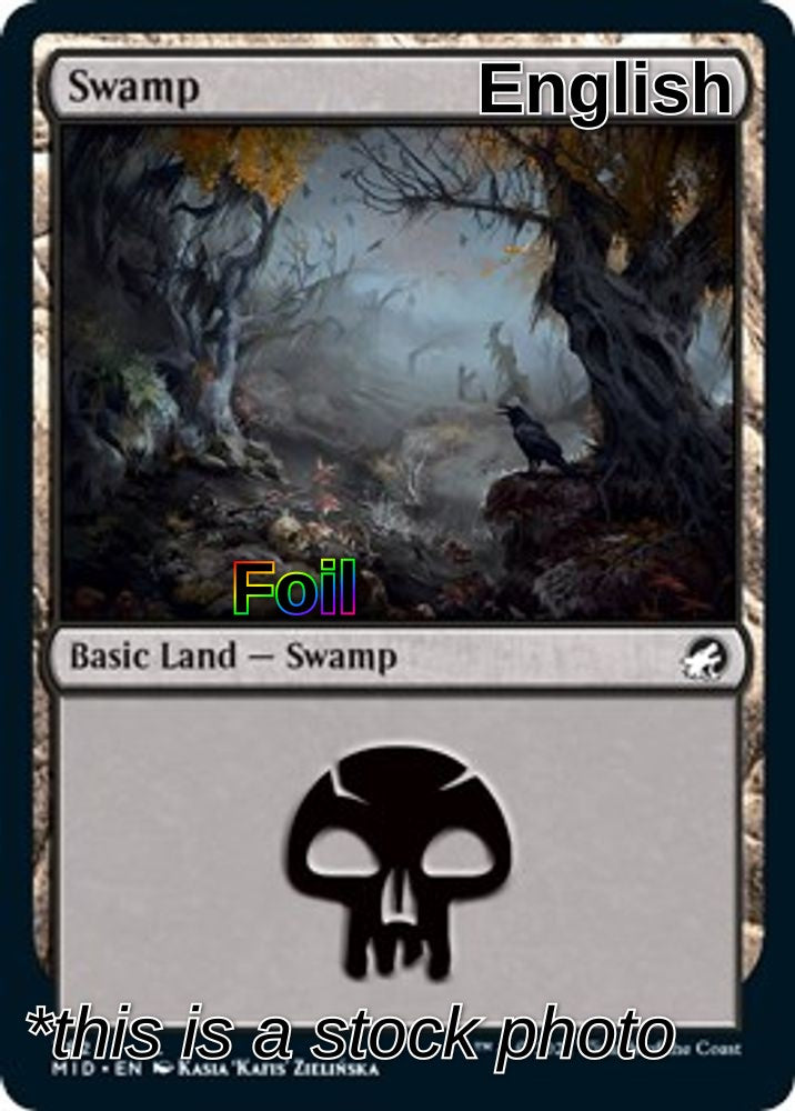 Swamp (382)