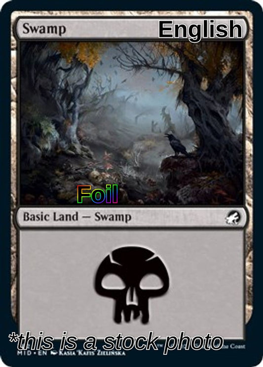 Swamp (382)