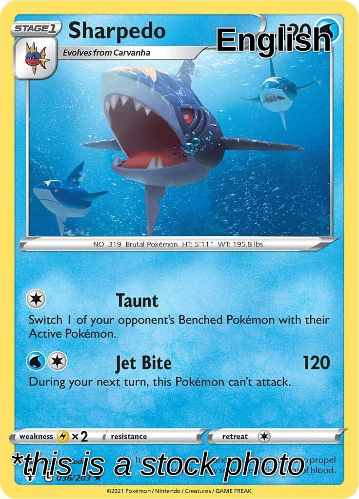 Sharpedo