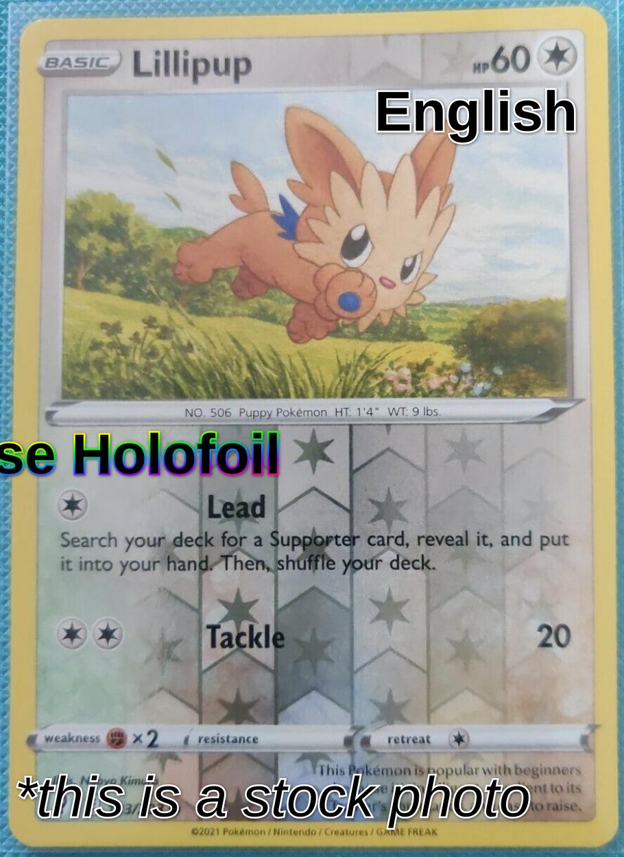 Lillipup