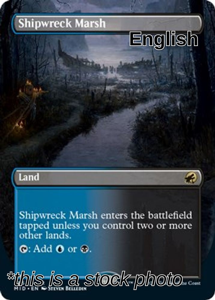 Shipwreck Marsh (Borderless)