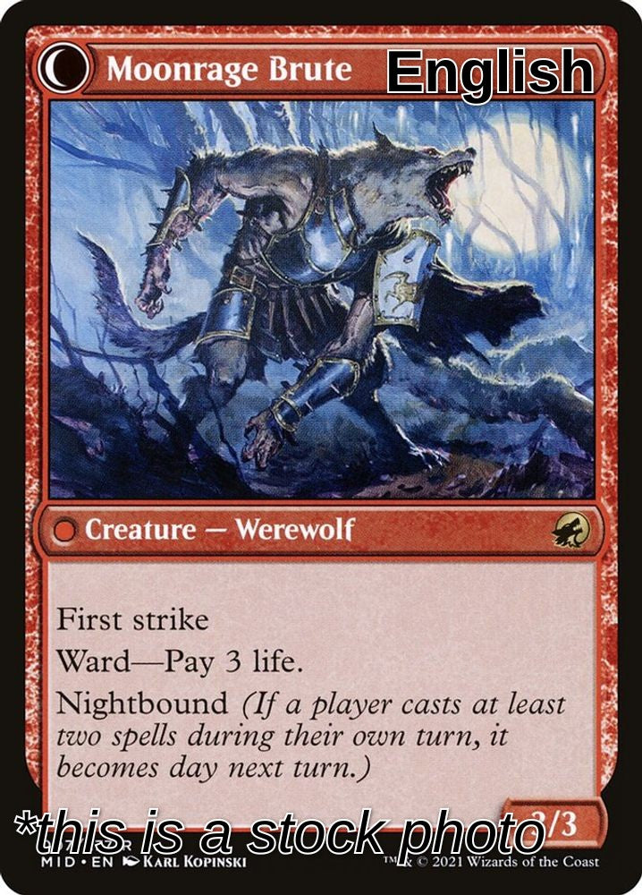 Brutal Cathar (Back)
