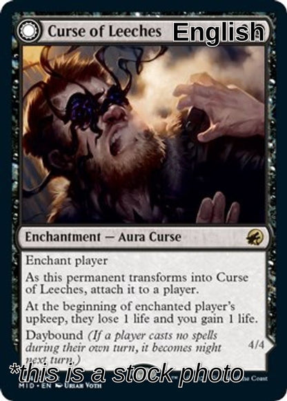 Curse of Leeches