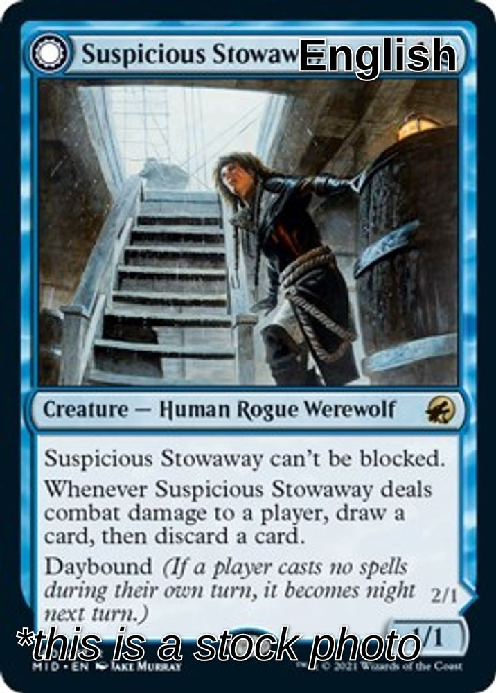 Suspicious Stowaway