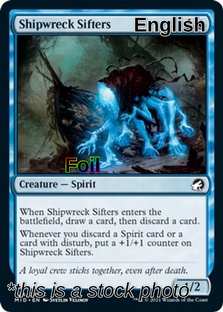 Shipwreck Sifters