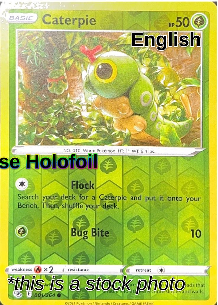 Caterpie