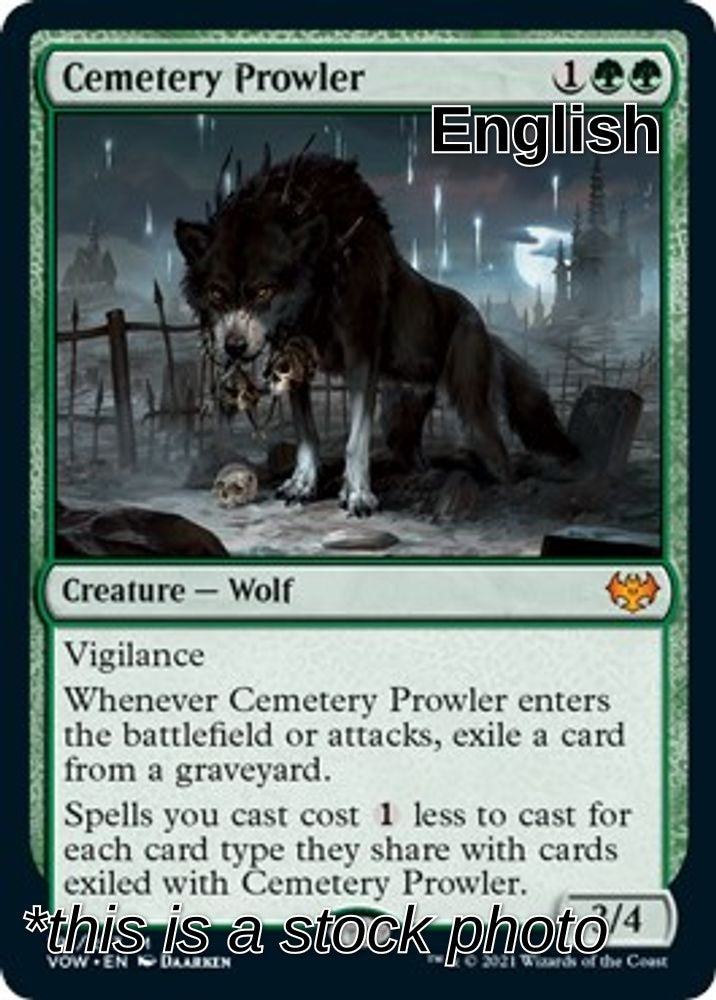 Cemetery Prowler