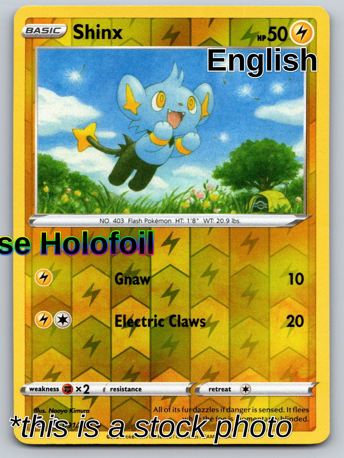 Shinx