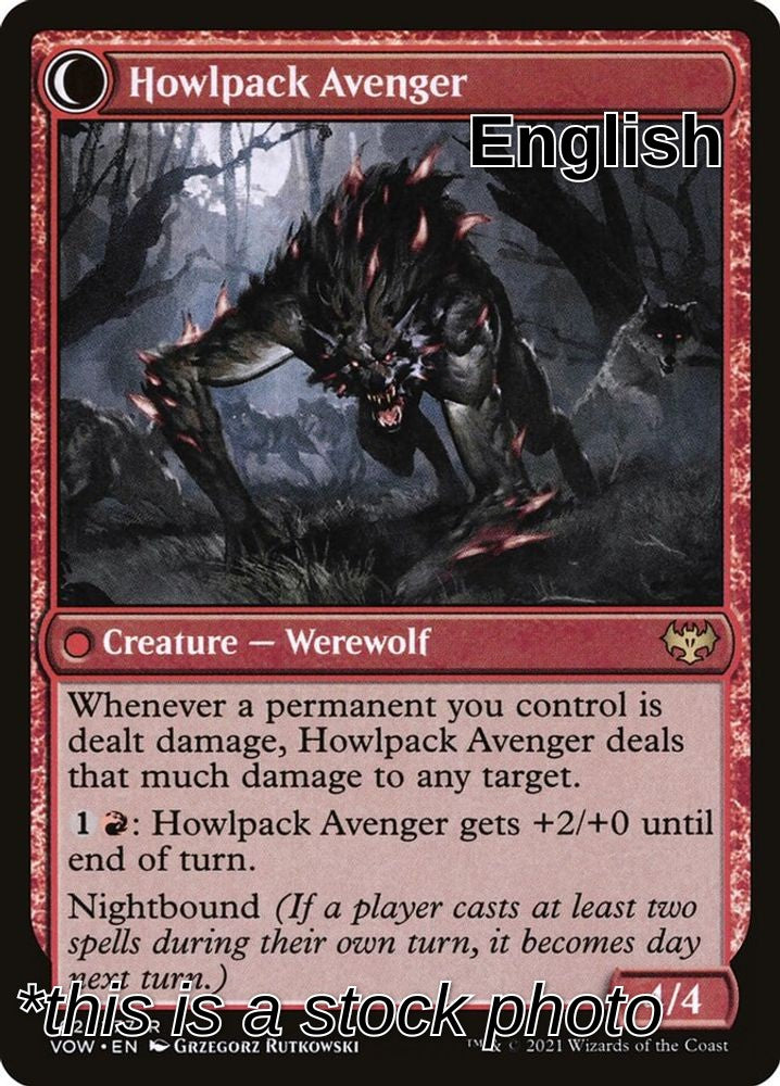 Ill-Tempered Loner (Back)
