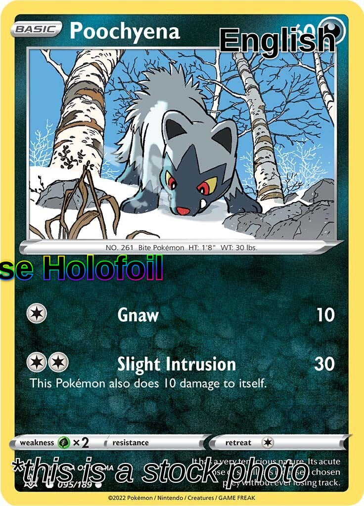 Poochyena